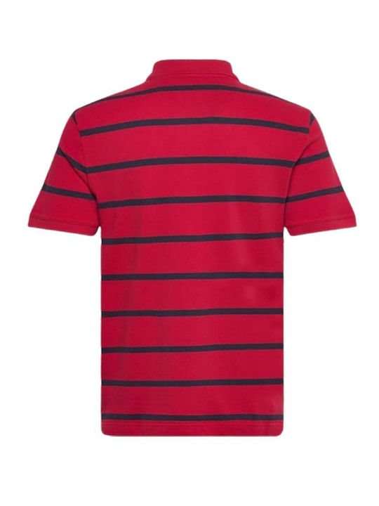 STRIPED POLO-RUBY RED