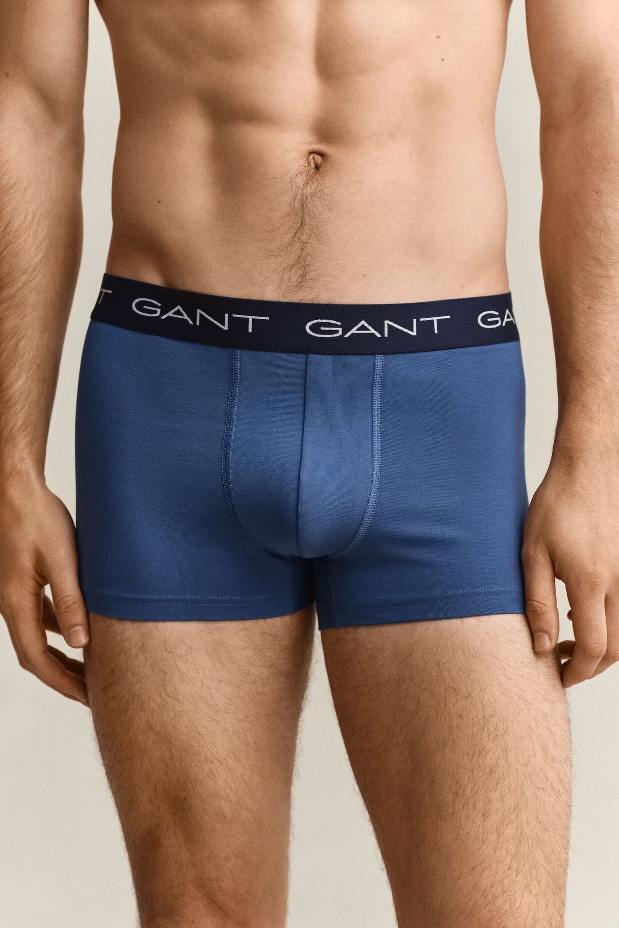 TRUNK 3-PACK-VINTAGE BLUE