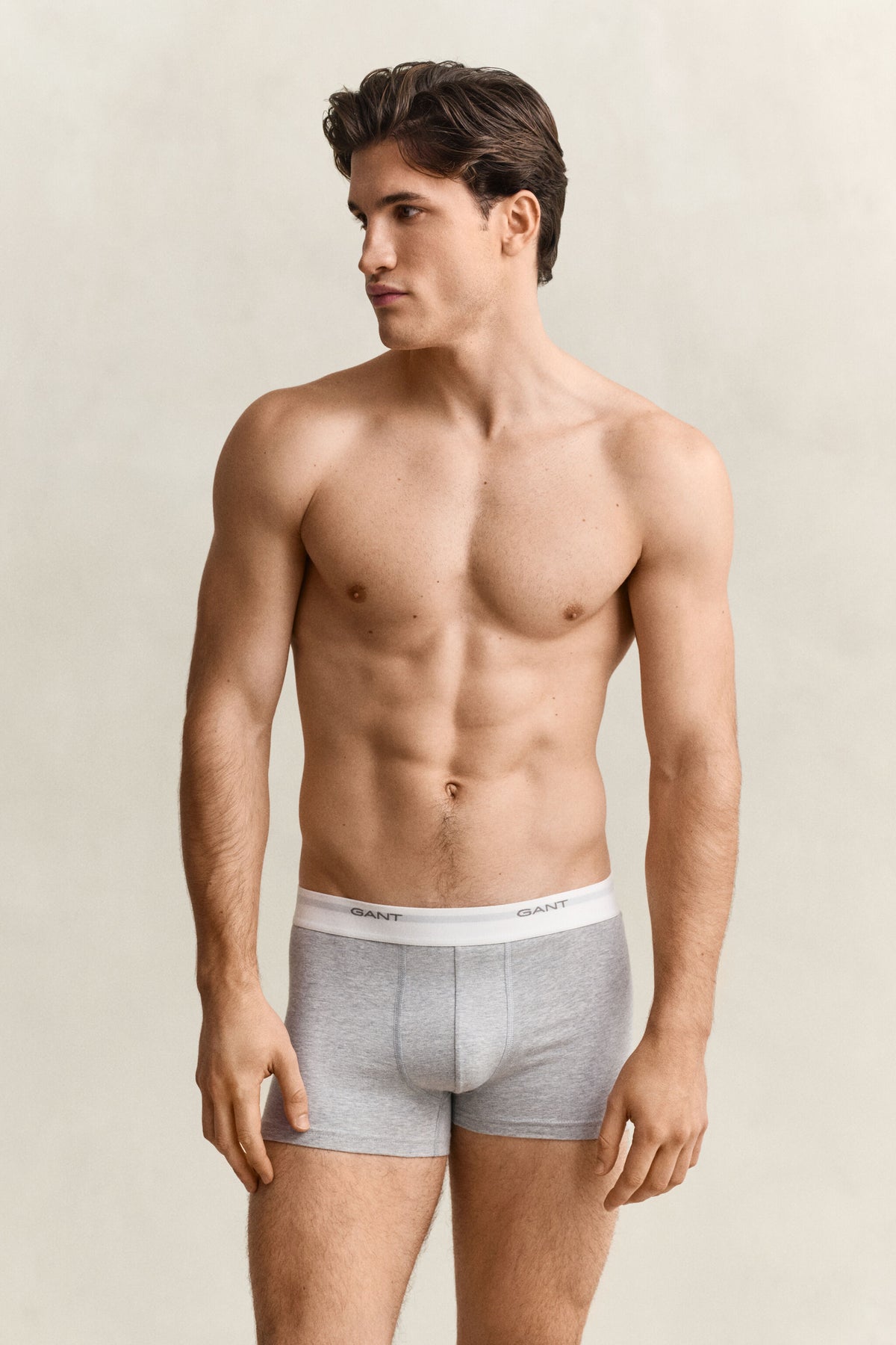 CORE TRUNK 3-PACK-LIGHT GREY MELANGE