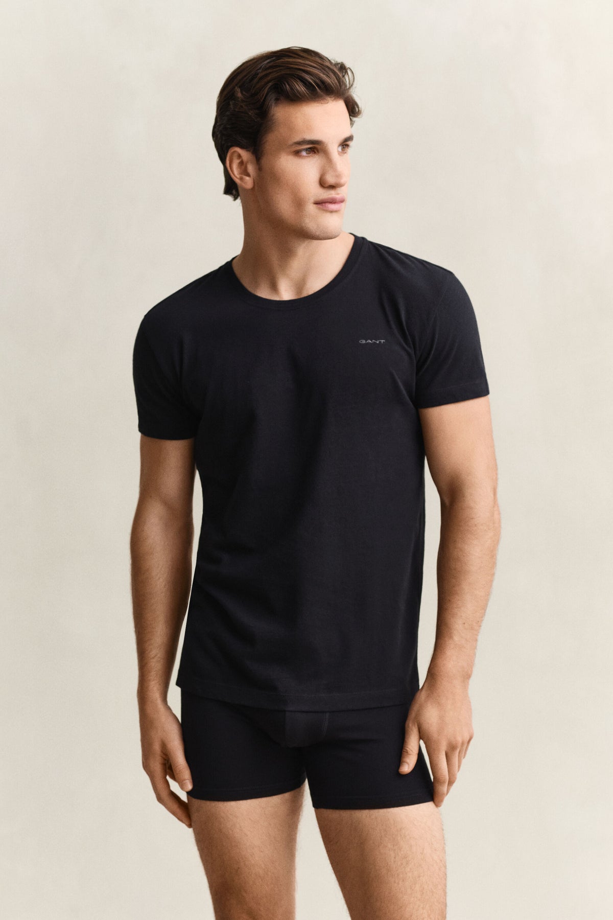 C-NECK T-SHIRT 2-PACK-BLACK / WHITE