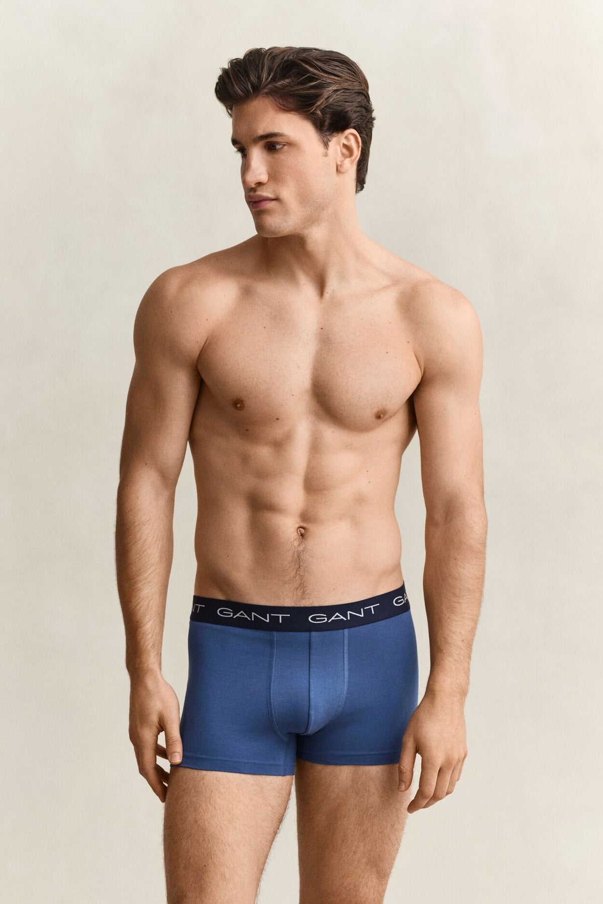TRUNK 3-PACK-VINTAGE BLUE